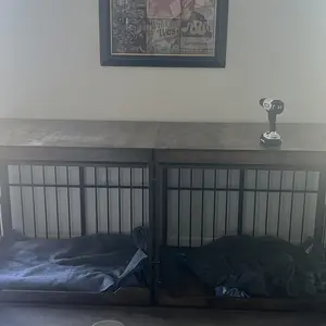 review image 4