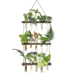3 Tiered Hanging Plant Propagation Stations (1 Piece), Plant Terrarium, Glass Vase Creative Flower Pot, Wall Hanging Vase, Decorative Vase for Home Office Living Room Garden, Wall Plant Holder