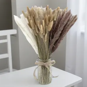 Bohemian Dried Flower Bouquet Set with Pampas Grass, Minimalist Aesthetic Home Decor for Room, 16.9" Neutral Tone Design, No Maintenance Required, Perfect for Bedroom, Living Room, and Plant Lovers as a Gift