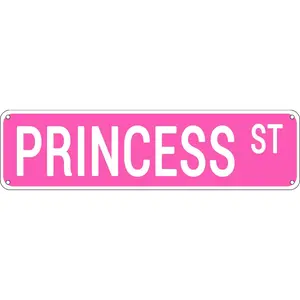 4"X 16" Princess st Pink Vintage Metal Tin Sign for Girl's Room Decor Wall Decoration, Tinsign-250227Mm16