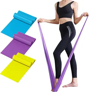 Resistance Bands Set, Exercise Bands, Elastic Workout Bands for Home Gym, Stretching, Physical Therapy Bands for Yoga Pilates