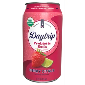 Daytrip Organic Prebiotic Soda with Fiber, Elderberry, Vitamin C