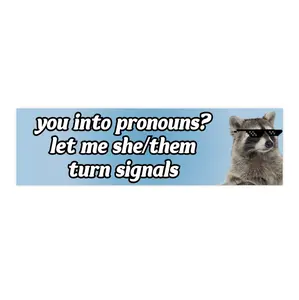 You Into Pronouns? Let me she/them turn signals | Bumper Sticker AND Magnet | Funny Meme Sticker | 8.7'' X 2.7'' | Waterproof Premium Quality