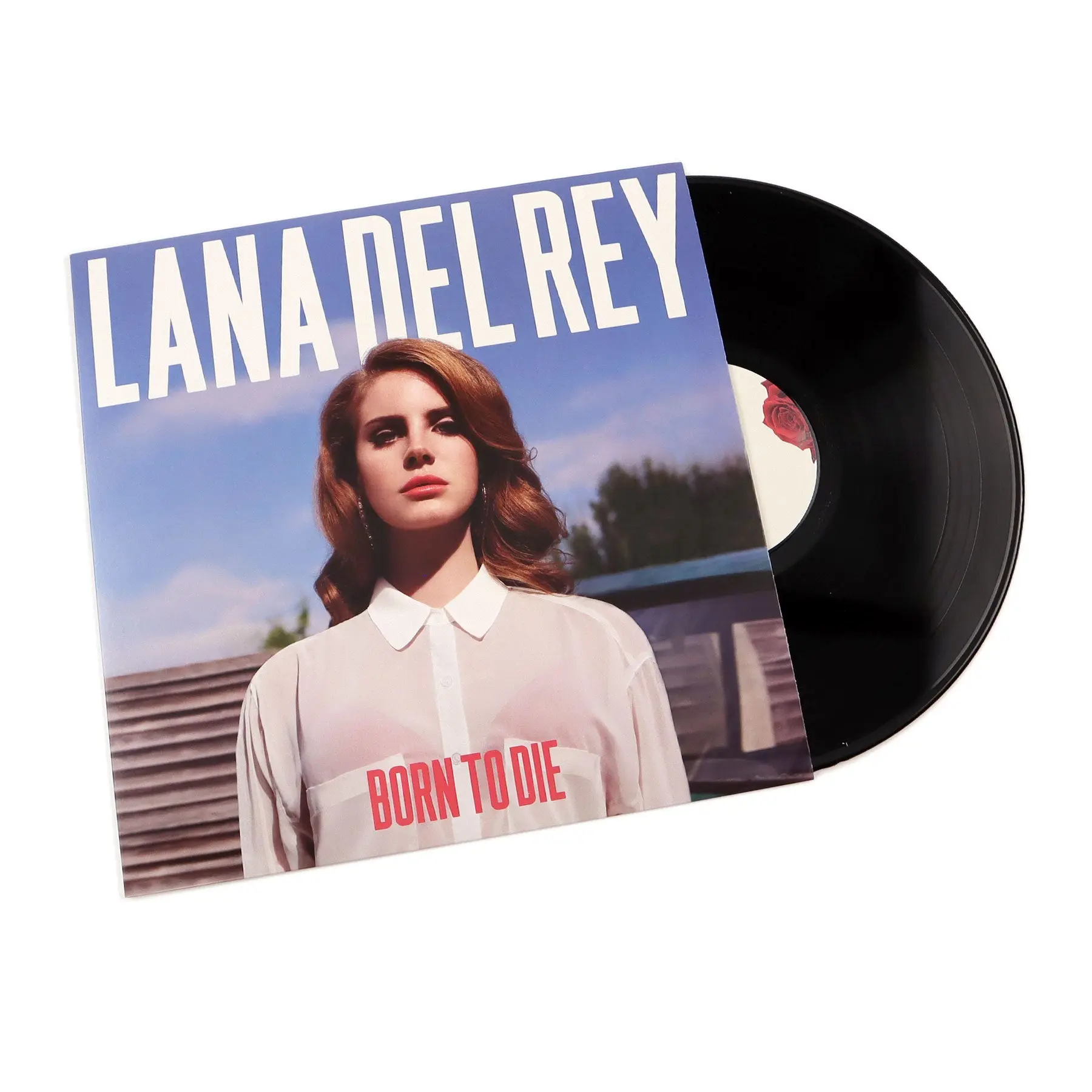Lana Del Rey: Born To Die 2012 Major Label Debut Vinyl LP, Vinyl Records with Printed Insert, Includes Printed Insert