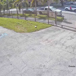 California Gold Nutrition Superfoods, Cold Pressed Organic Virgin Coconut Oil, 16 fl oz (473 ml)