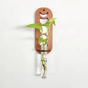 Moon Phase Wall Propagation Station - Test Tube Holder