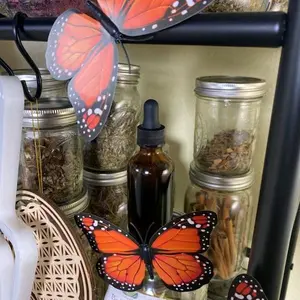 SAY YES TO ME (MONEY OIL)