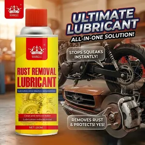 Rust Remover Spray for Hinges Locks Tools Bike Chain Car Parts Squeaky Metal Anti Rust Cleaner Repair Maintenance Spray