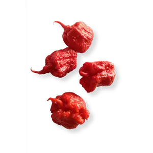 Smokin' Ed's Carolina Reaper® Seeds - High Quality Seeds for Successful Planting