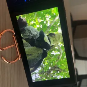 review image 1