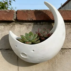 3D Printed Moon Shaped Wall Hanging Planter, Durable Plastic Material, Suitable for Indoor Outdoor Gardening Decor, Holiday Gift