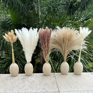 Pampas Grass Boho Home Decor 150Pcs 17-inch Natural Dried Flowers-Pampas Grass Contains Bunny Tails White Pampas Brown Pampas. Boho Decor for Farmhouse Wedding Boho Wall Bathroom Office Kitchen