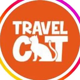 Travel Cat