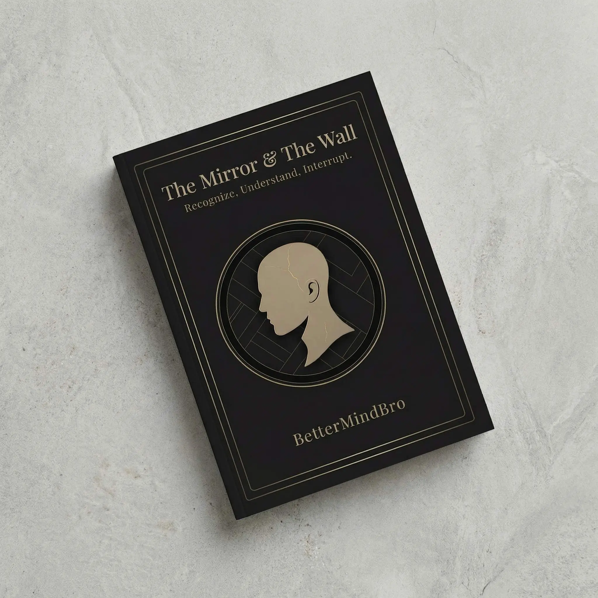 The Mirror & The Wall: Recognize. Understand. Interrupt.