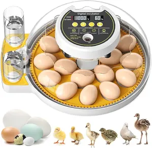 Ipc Round Transparent Incubator Automatically Turns Over, And The Small Digital IncubatorForPoultry And Chicks Can Control The Temperature And Humidity Of Chickens, Which IsSuitableFor 8 Eggs Such As Chickens, Pheasants, Quails, Birds And Pigeons