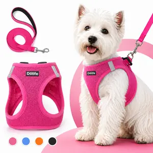 Breathable Mesh Pet Harness Vest, Lightweight Reflective No-Pull Puppy Harness & Leash Set, Adjustable Escape Proof Outdoor Walking Gear for Small Medium Breed Dogs Daily Training Night Safety