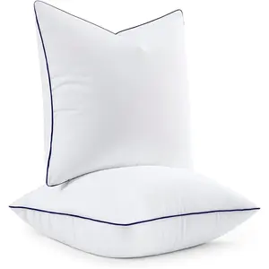 20x20 Pillow Inserts,  Down Alternative Filling Pack of 2 Ultra Soft Throw Pillows for Sofa Couch Bed