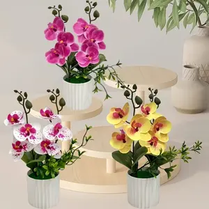 Artificial Orchid Potted Plant,Multi-colored Phalaenopsis in a decorative vase | Durable plastic flower arrangements for home and office | Very suitable for desks, TV cabinets, bedside tables, and study rooms | No maintenance required, artificial flowers