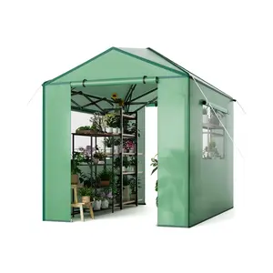 6 x 8 /8 x 12 FT Pop-Up Walk-In Greenhouse, Outdoor Portable Plant House with Roll-Up Zipper Door & Side Windows for Backyard Gardening