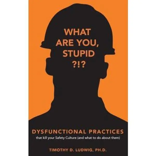 USED-Dysfunctional Practices: that kill your Safety Culture (and what to do about them) by Timothy D Ludwig Ph.D. (Paperback)