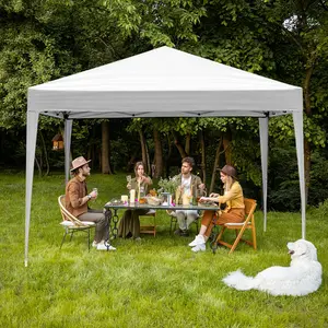 Outvita 10 Ft X 10 Ft Straighted Legs Folding Pop-up Canopy with Carry Bag Summervibes
