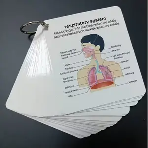 Human Body System Anatomy Card, 1 Set Medical & Nursing Learning Guide with Rings, Portable Learning Card for Students, Gift for Students, Multifunction, Square Nursing Flashcards