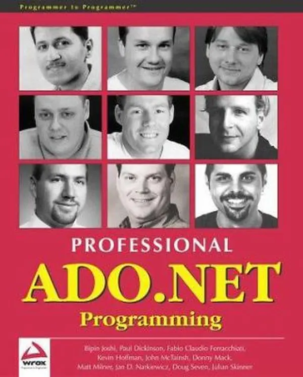 USED-Professional ADO.NET Programming by Julian Skinner (Paperback)