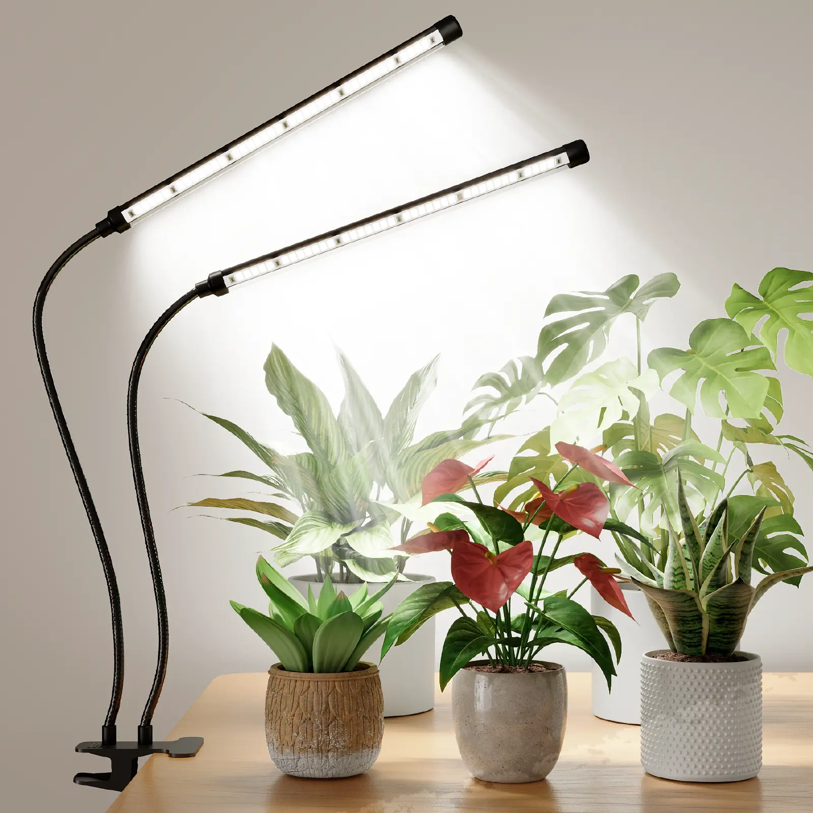 Bamworld Adjustable Dual-Head Clip-On LED Grow Light - Gooseneck Design, 42 Full Spectrum LEDs, 3 Modes & 10 Brightness Levels, 3mode Light Choice, Timer, USB-Powered, Clipon Desk Power, for Seedlings Succulents Seed Starting, Indoor Lighting