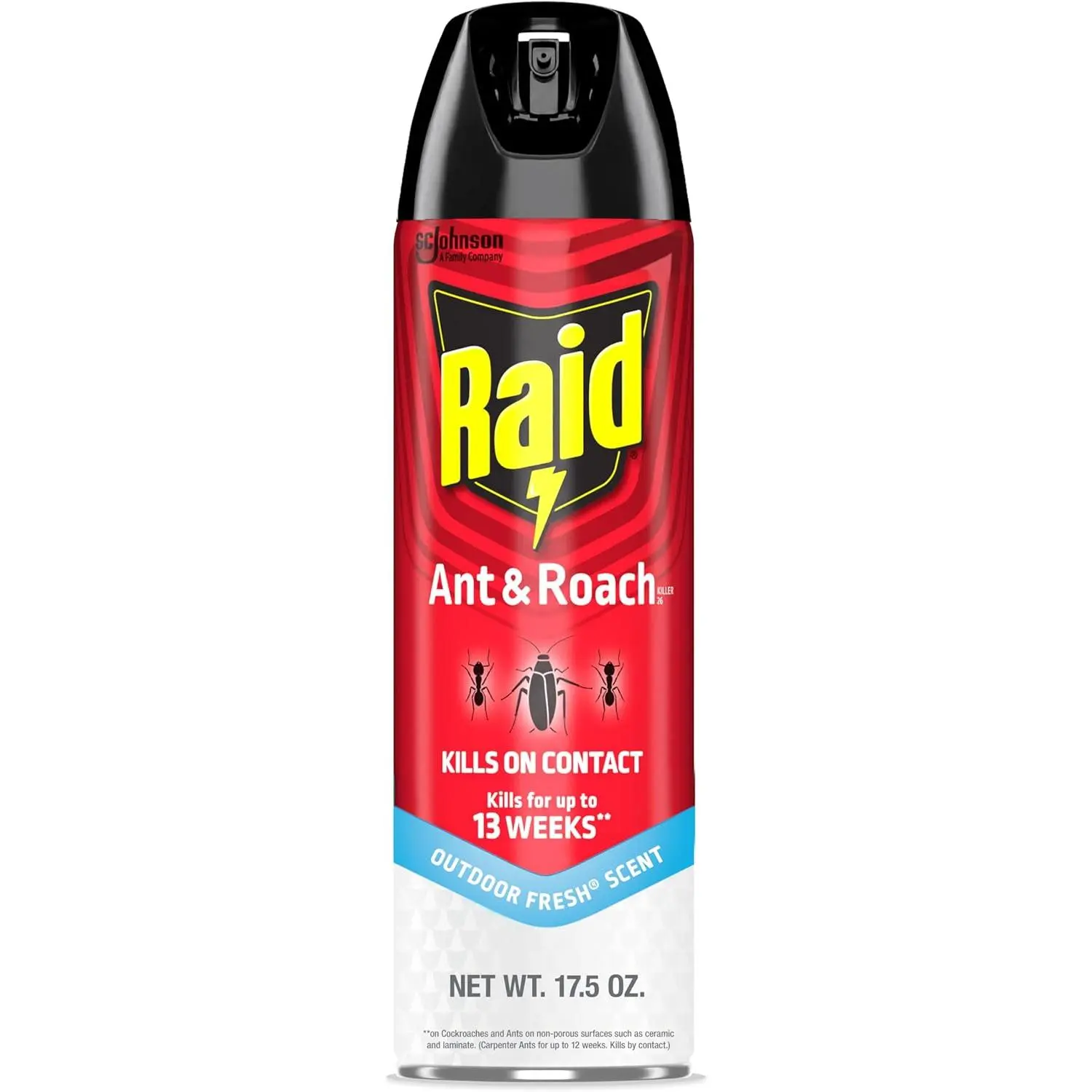 Ant & Roach Killer Spray For Listed Bugs, Keeps Killing for 13 Weeks, Outdoor Fresh Scent, 17.5 oz