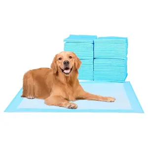 Pet Training Pad, Strong Absorption Pet Pee Pad, Pet Supplies for Dogs & Cats, Pet Litter Mat, Dog & Cat Litter, Puppy Pee Pads