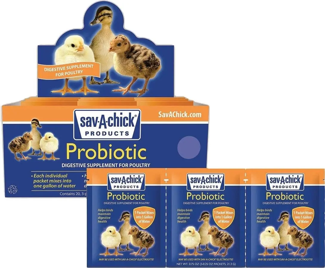 Sav-A-Chick Probiotic Supplements 3-Count Helps Maintain Digestive Health