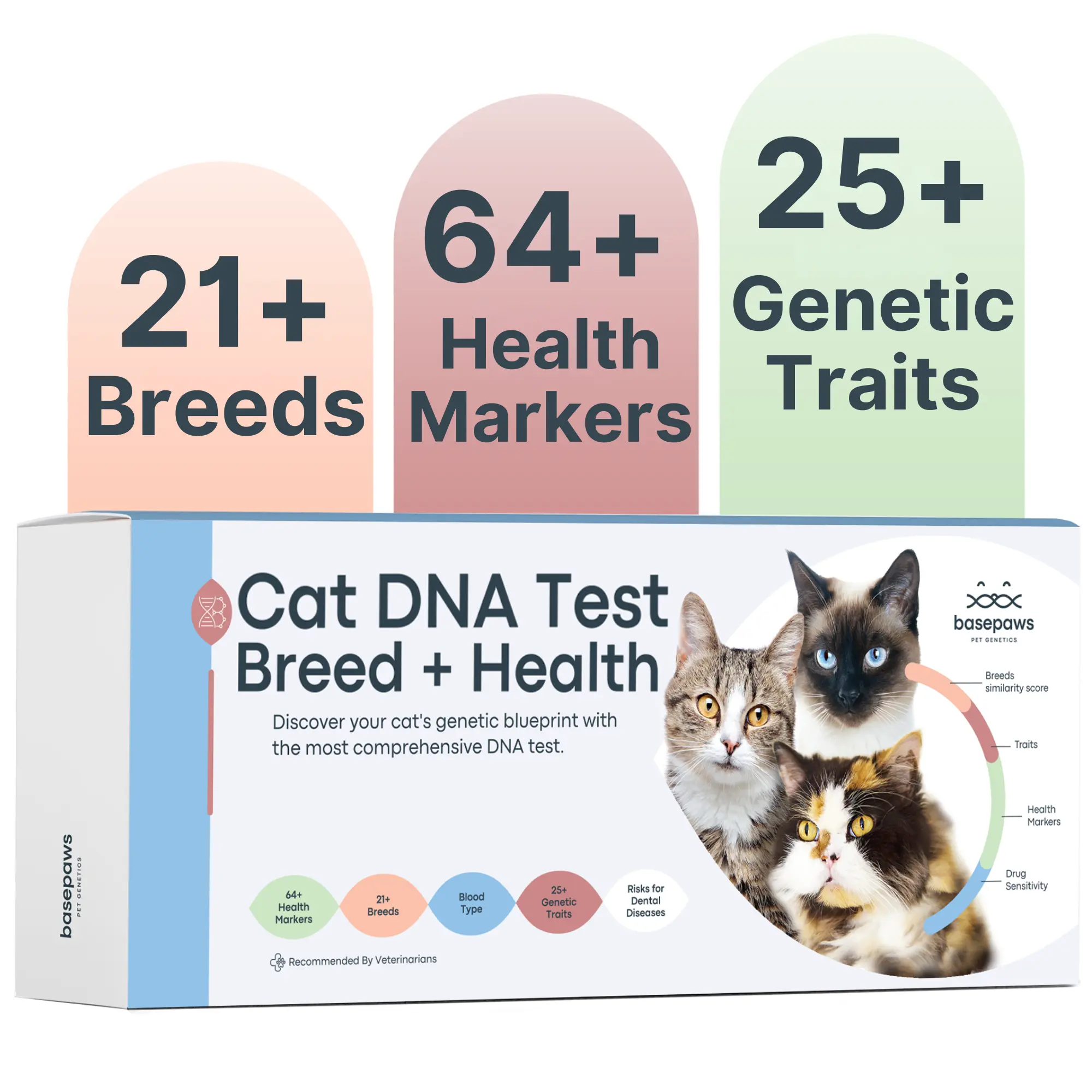Basepaws Cat DNA Test, Breed & Health Reports, Wildcat Index, 39 Health Markers, 17 Genetic Diseases - 1 Pack