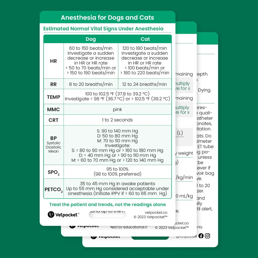 Anesthesia for Dogs and Cats
