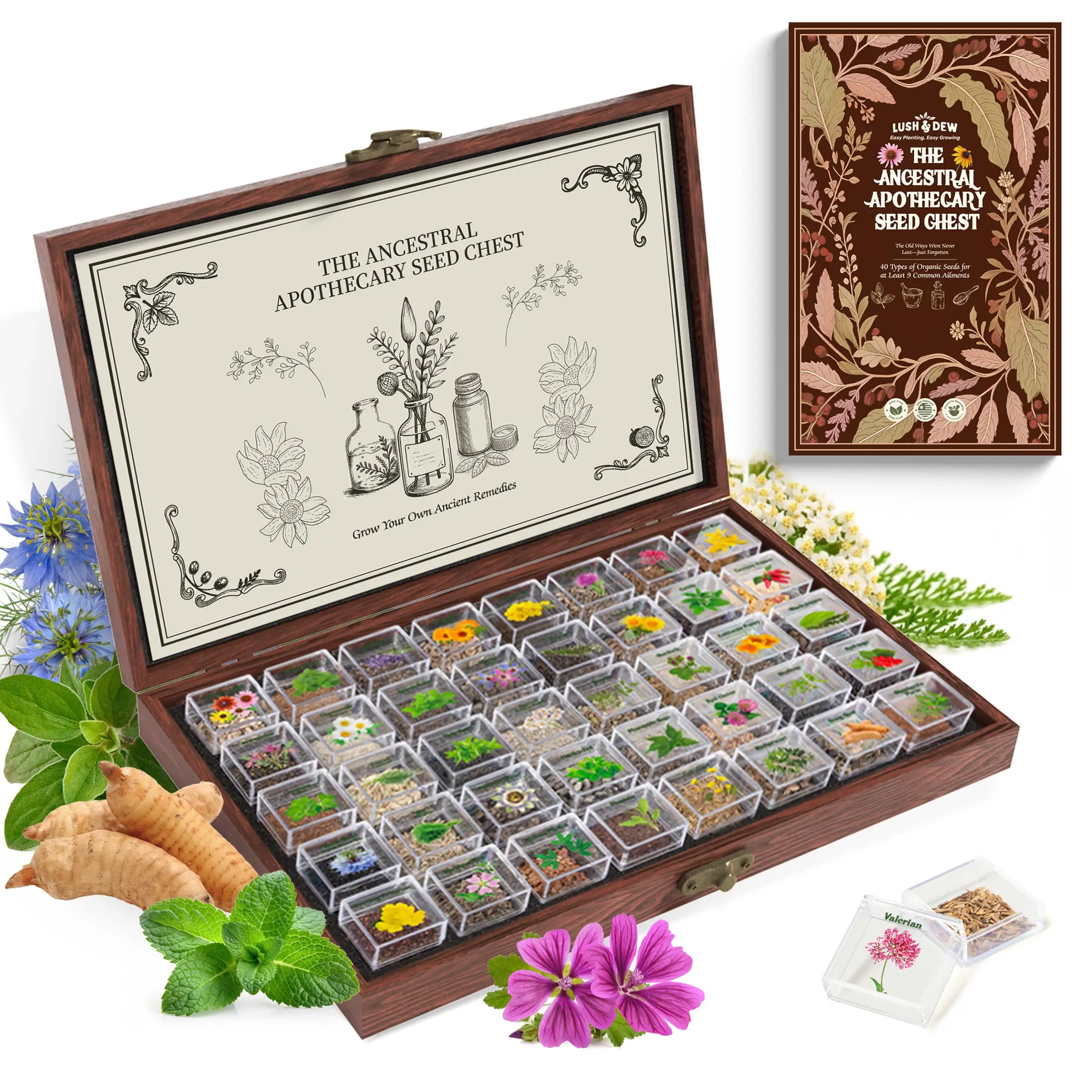 LUSH&DEW Ancestral Apothecary Seed Chest - 40 Varieties of Non-GMO Medicinal Herb Seeds in Elegant Wooden Display Box for Gardening Enthusiasts