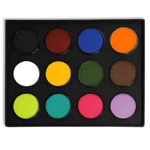 Paradise Makeup AQ 12 Color Pro Palette