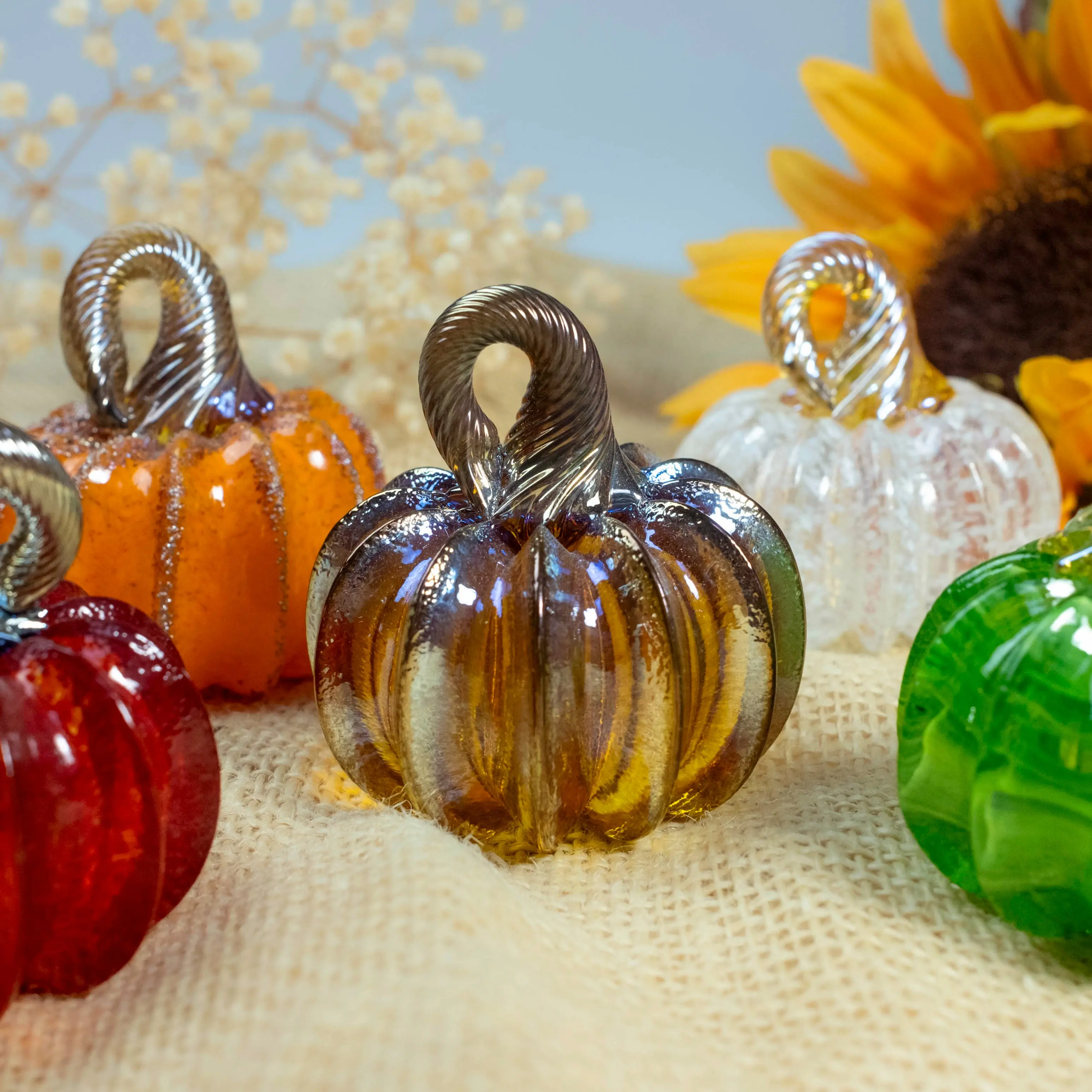 Pumpkinettes: 2025 Signature Colors
