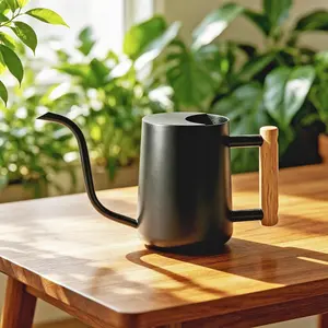 Bamworld Watering Can 35oz Small Watering Can Stainless Steel Water Can for Indoor Outdoor Home Plants Garden Flowers（Black）