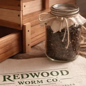 Complete Worm Composting Kit – Handmade Redwood Worm Bin with Red Wiggler Worms & Castings Catch Tray