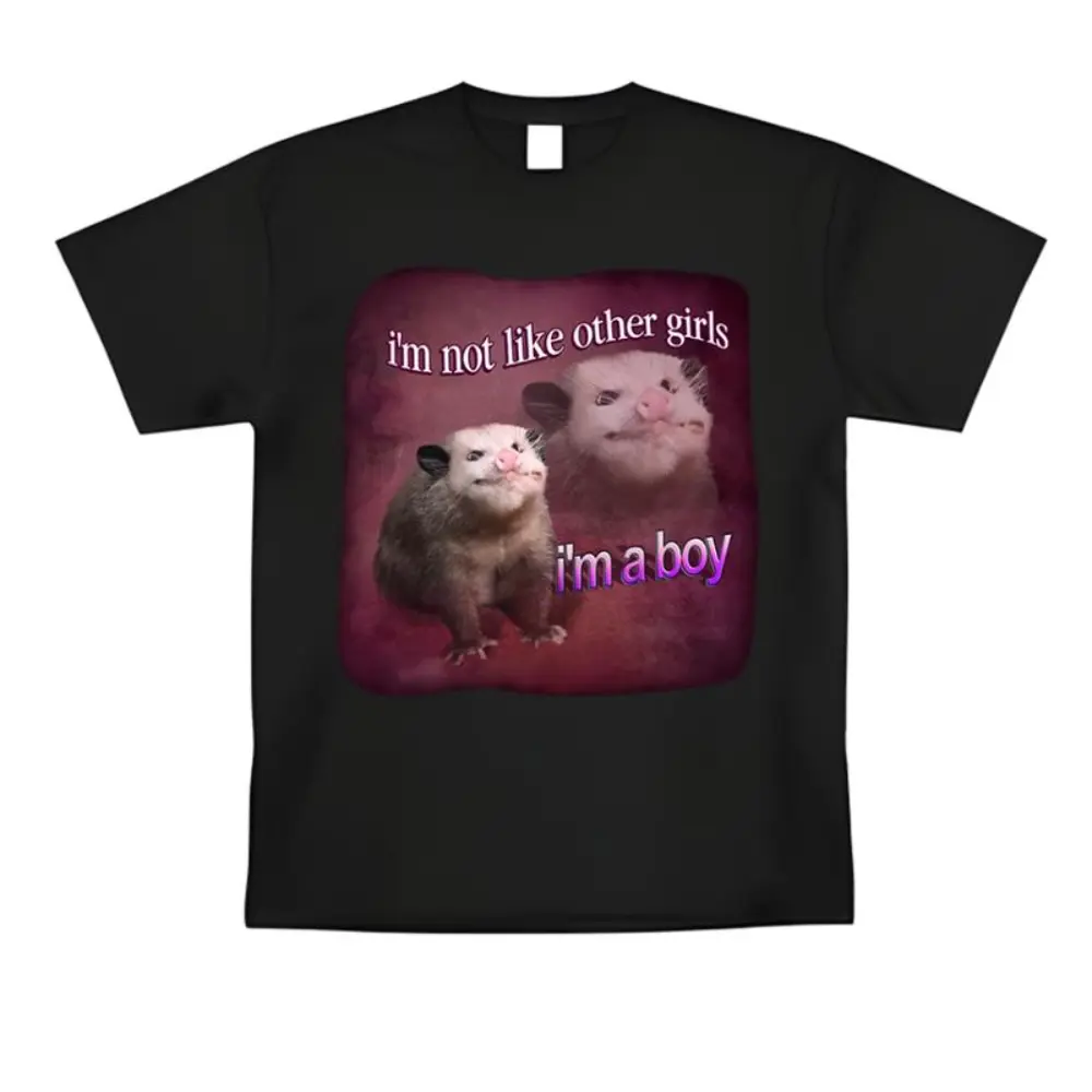 Funny I'm Not Like other Girl I'm a Boy T-Shirt Meme Graphic Tee Humor