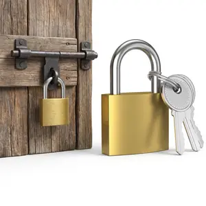 2 Pcs 32mm Zinc Alloy Safety Keyed Padlock Set, Lock with Key, Durable Compact Mechanical Lock for Travel Bags, Gym Lockers Locks With Keys