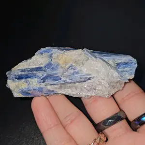 Raw Blue Kyanite Crystal Cluster | Shiny Rock SMALL 1-6 Oz