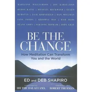 USED-Be the Change: How Meditation Can Transform You and the World by Eddie Shapiro (Paperback)