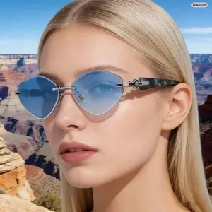 Cat Eye Photochromic Sunglasses for Women UV Protection Trendy Aesthetic Sunglasses Retro Street Style Glasses for Outdoor Driving Daily Wear