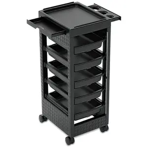 5 Drawers Beauty Rolling Trolley Utility Cart Salon Styling Station Trolley Equipment Rolling Storage Tray Cart for Hair Salons, Beauty Salons (5 Tiers)