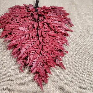 Preserved Fern, wine red Leather Leaf, 10 Stems Preserved Soft and Whispy Wedding Ferns-Tree Fern-Pink Ferns-Floral Decor