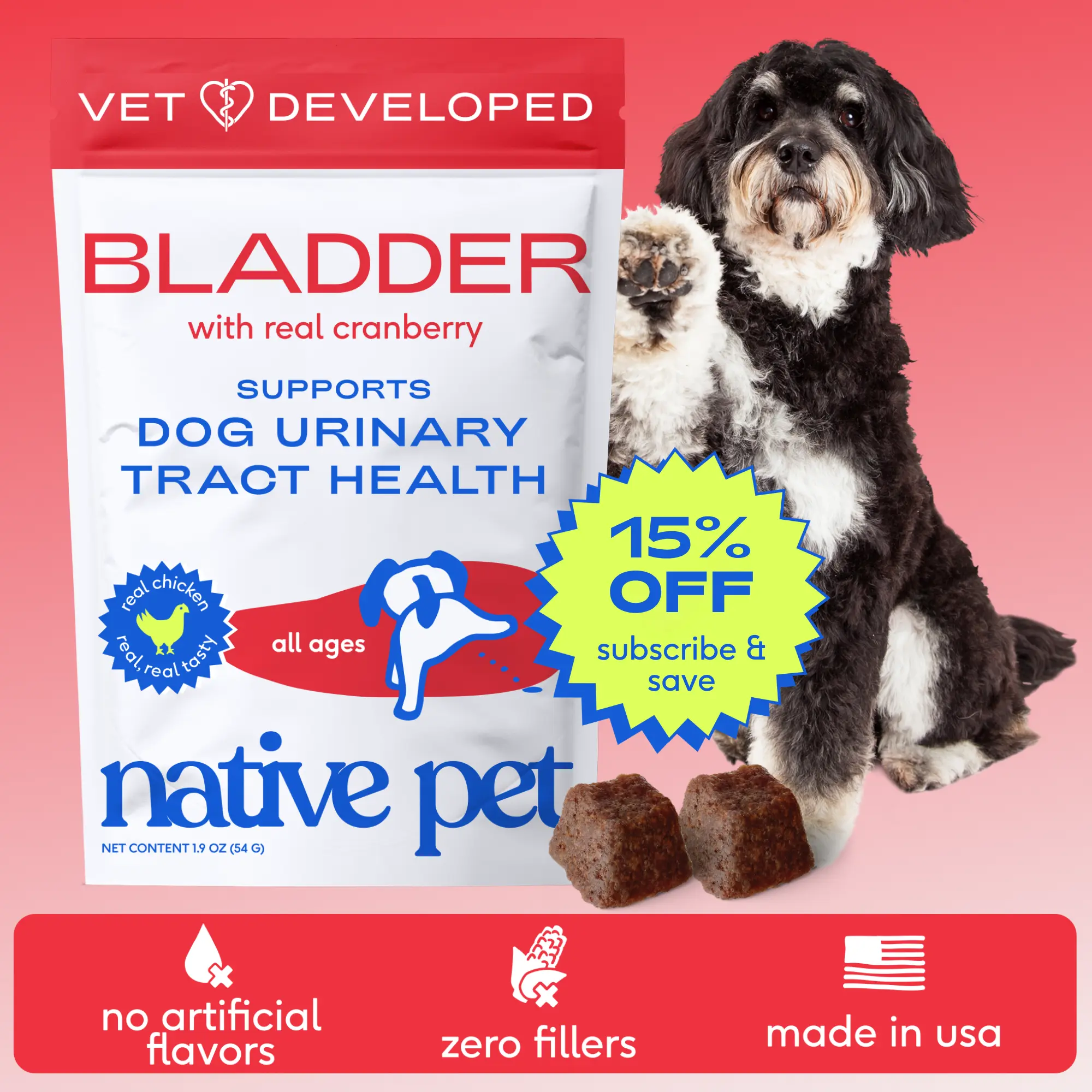 Native Pet Dog UTI Treatment - Cranberry Supplement for Dogs Bladder Control & Kidney Support - Prevent Urinary Tract Infection and Urinary Incontinence - Made with Real Cranberry Extract Chews Probiotics