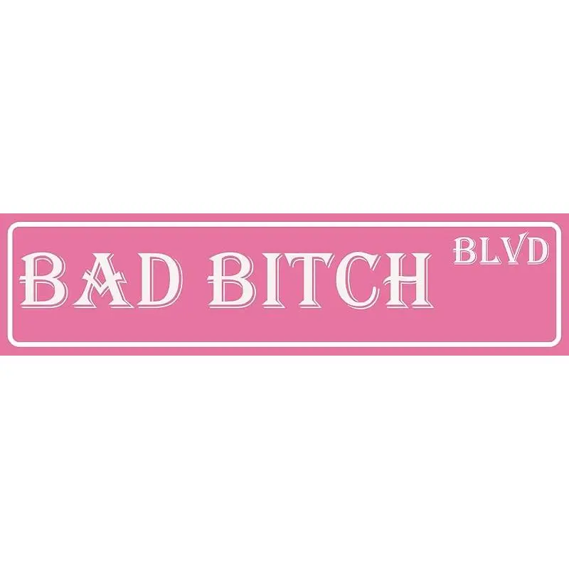 "Bad Bitch Blvd" Pink Metal Tin Sign |   4x16 Inch Humorous Street Sign for Bedroom & Home Decor |   Bad Girls Club Aesthetic Wall Art |   Multiple Style Options with Pre-Drilled Holes, Easy to Hang