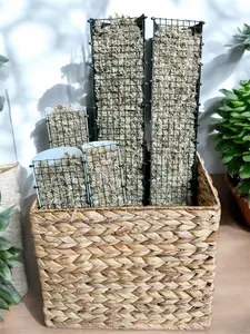 Pre-Filled D-Shaped Moss Pole for Climbing Plants and Plant Support - Ready to Use and Easy Installation