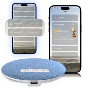 HYUNDAI Ultra-Thin S1 Bluetooth Pillow Speaker With Bible Prayer Function, Pillow CD Player for Bedtime Music & Audiobooks, Soft Immersive Sound Field, Headphone-Free Sleep Aid, Perfect for Relaxing Sleep, Compatible with Android & iOS