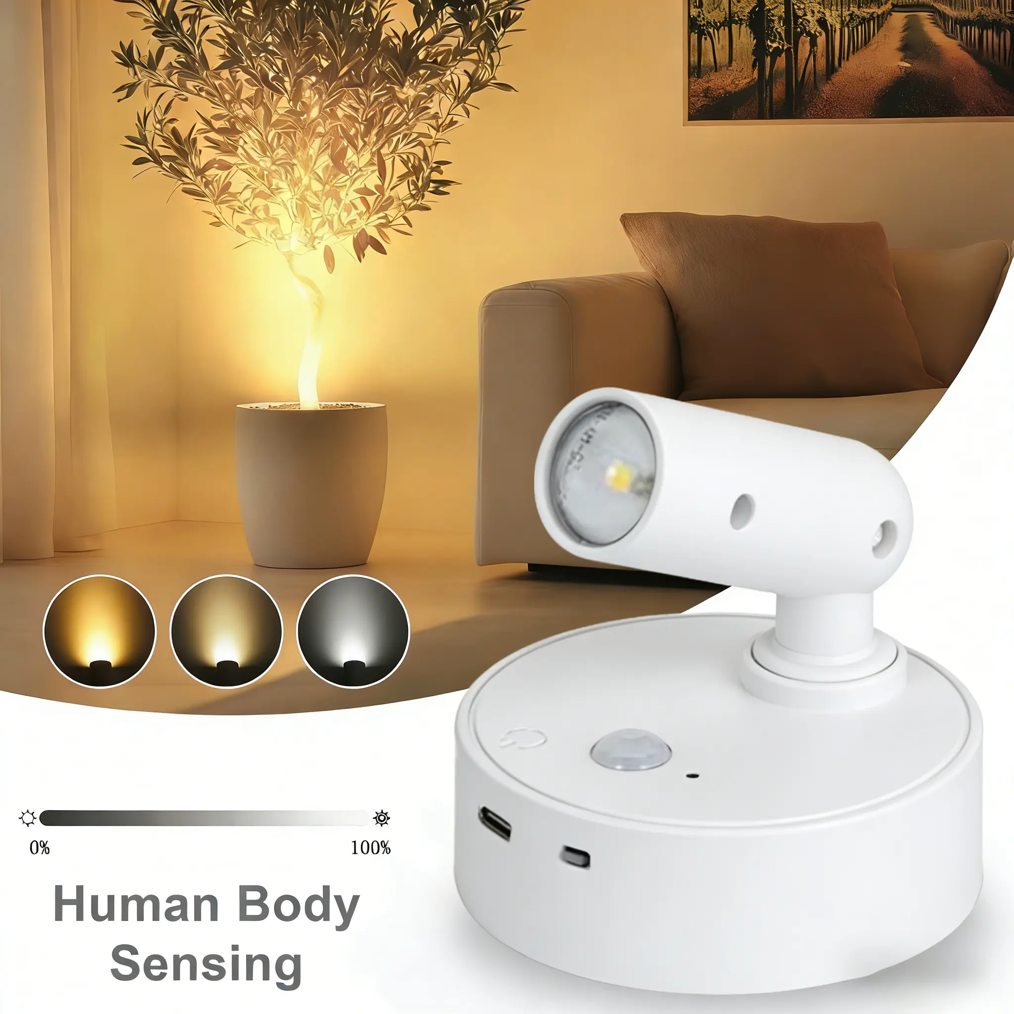Tri-Color Magnetic Induction LED Light - Rechargeable 350° Rotatable Spotlight, Wall Light for Hallways, Art Displays